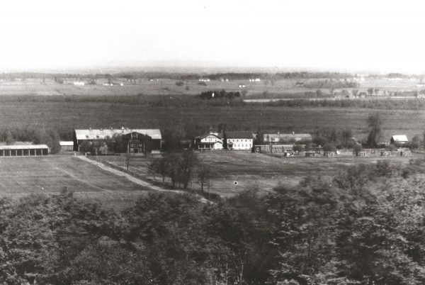 Vaches laitières de la ferme Grand Coteau