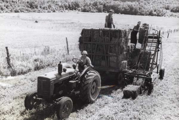 Travail à la ferme (foins), Villa Grand Coteau