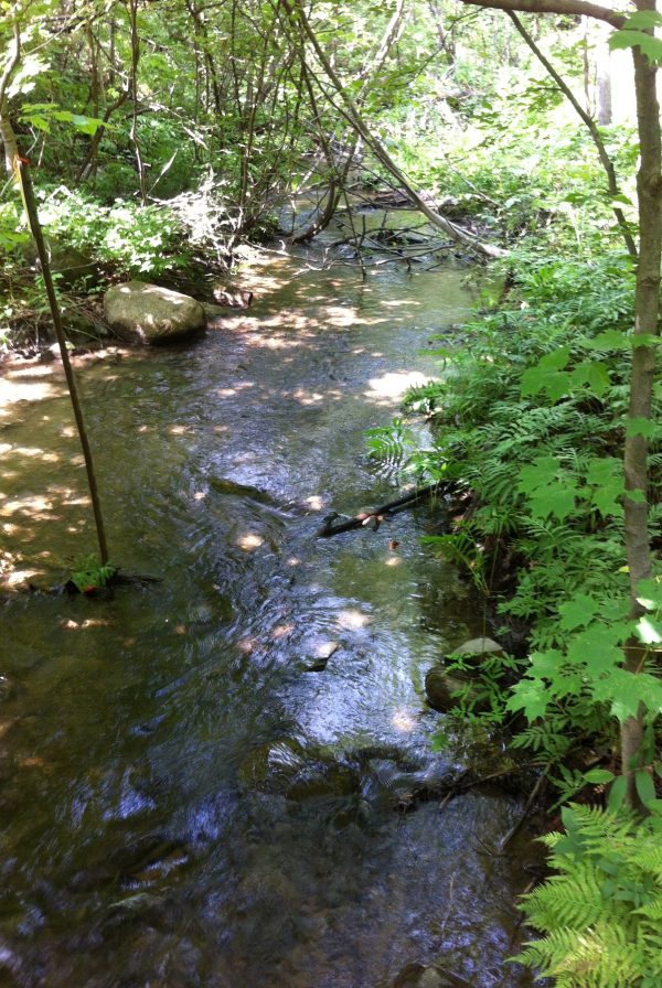 Ruisseau du mont Saint-Bruno