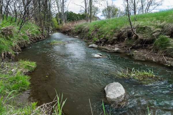 Le ruisseau des Frères