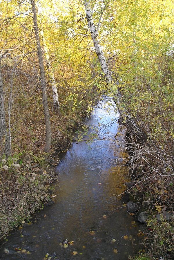 Le ruisseau des Frères