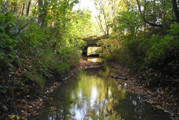 Le ruisseau des Frères