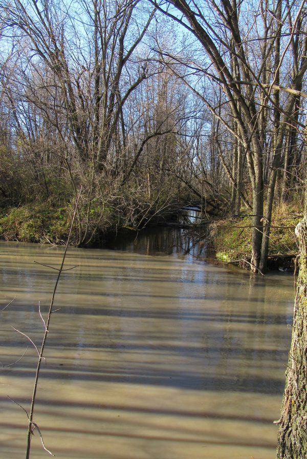 Le ruisseau Massé