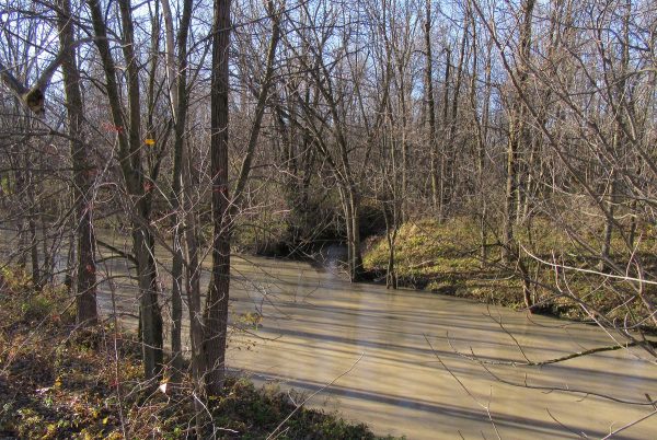 Le ruisseau Massé