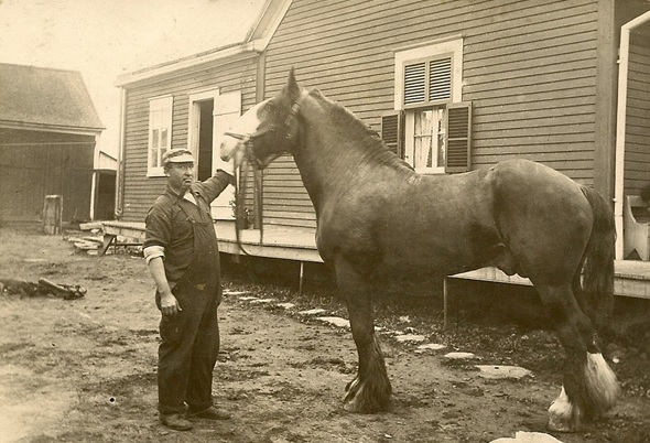 Forgeron et son cheval
